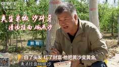 致富经 [致富经]白了头发 红了财富 他把黄沙变黄金 20181119
