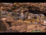 人与自然 人与自然 2010年 第165期
