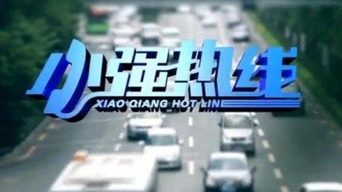 小强热线 小强热线20150209