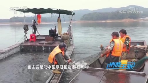 消费主张 《消费主张》 20200416 家乡的味道：五味调和河南菜