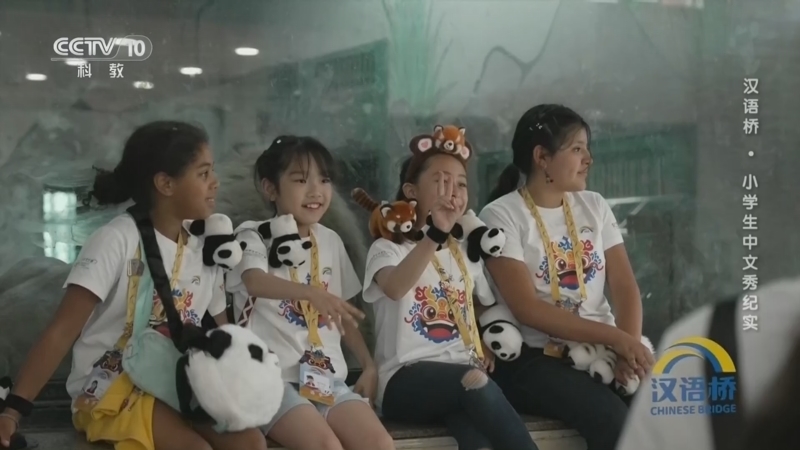 《汉语桥》 第7集 小学生中文秀纪实