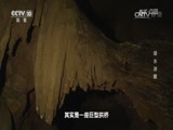 地理中国 《地理中国》 20170406 绿水迷窟