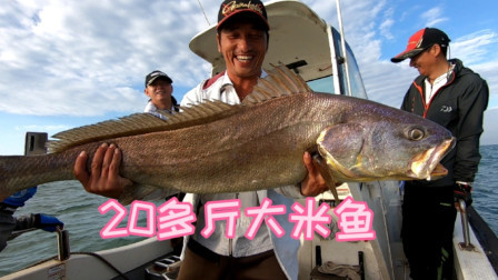 阿杰最近人品大爆发，钓的鱼越来越大，20多斤米鱼出水，场面沸腾