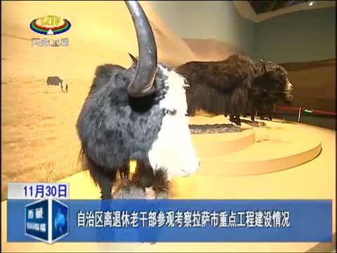 西藏新闻联播 《西藏新闻联播》 20141130