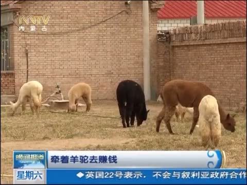 晚间报道 《晚间报道-内蒙古》 20140823
