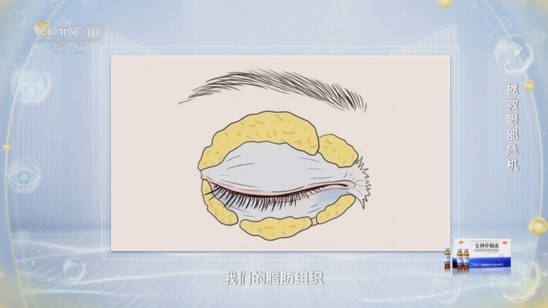 健康之路 《健康之路》 20241204 拯救眼部危机