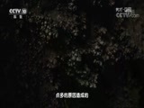 地理中国 《地理中国》 20180702 奇山异景·洞中“神像”