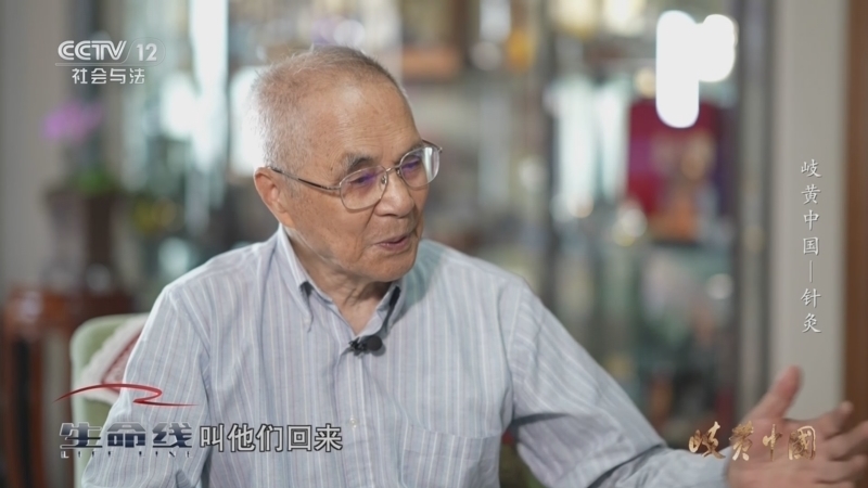 生命线 《生命线》 20240715 岐黄中国——针灸
