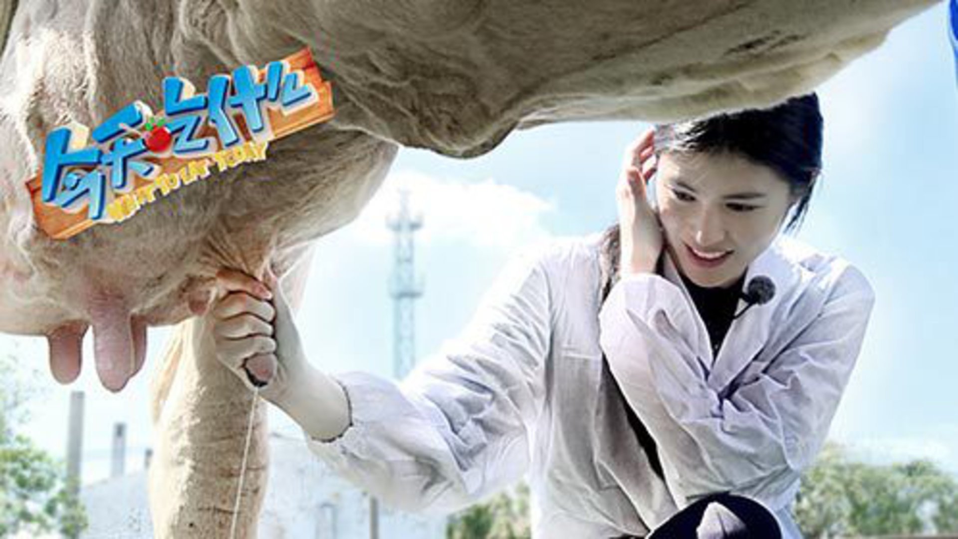 今天吃什么 第3期：众星怪招叠出专治小孩挑食症