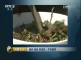 消费主张 《消费主张》 20170501 春色 春食 春滋味：平谷桃花