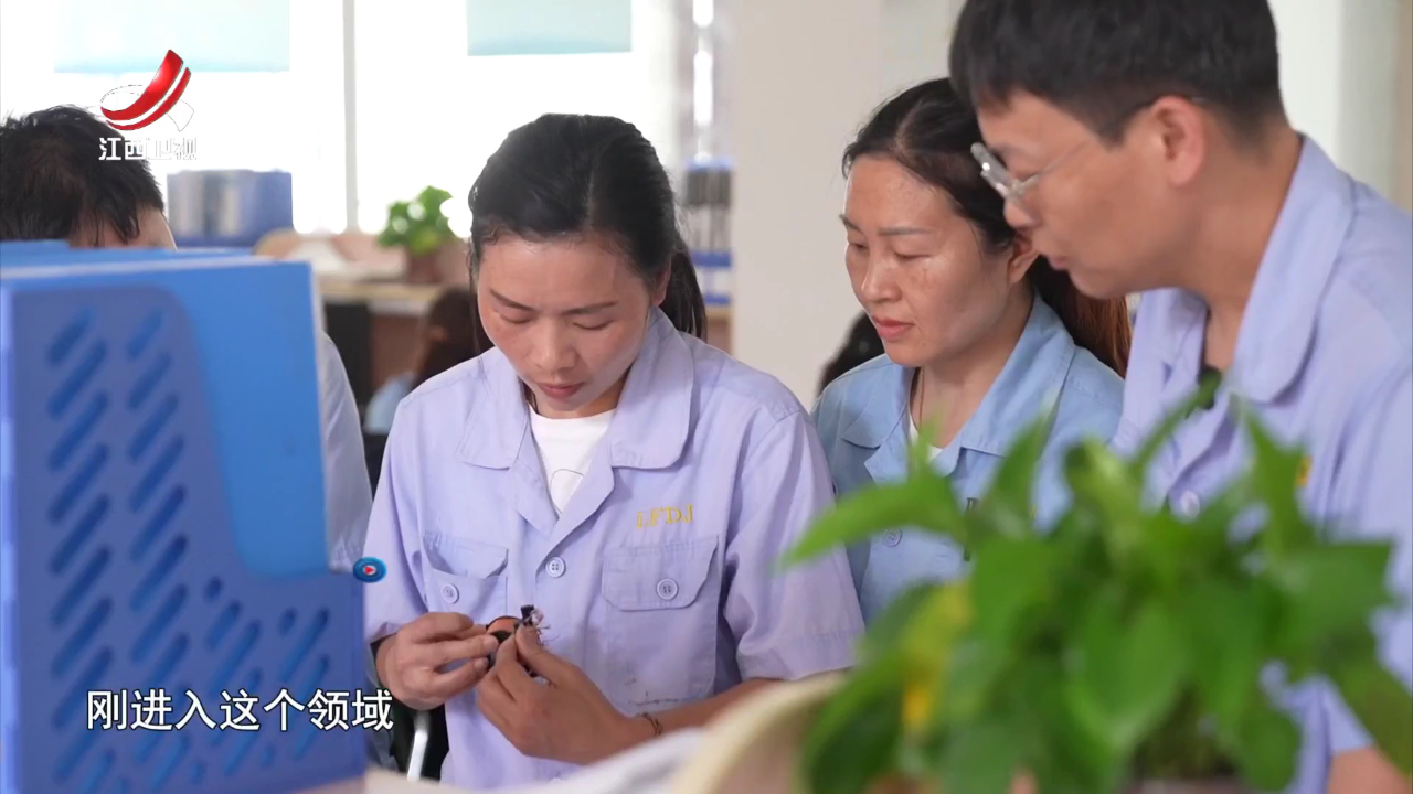社会传真 隐形冠军——小领域 大作为