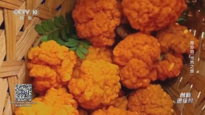 《创新进行时》 20251024 奇珍的“光热之旅”