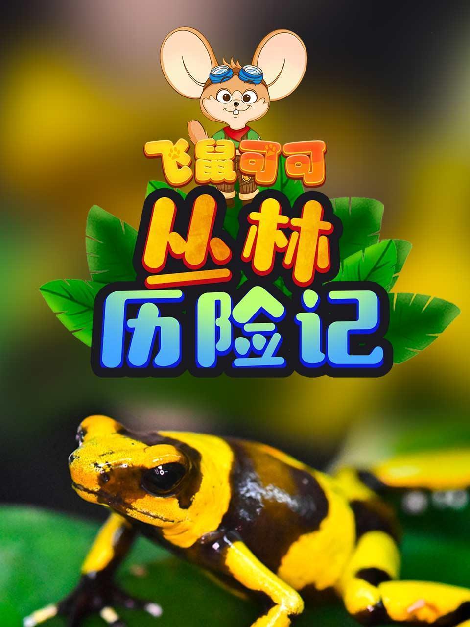 飞鼠可可 丛林历险记