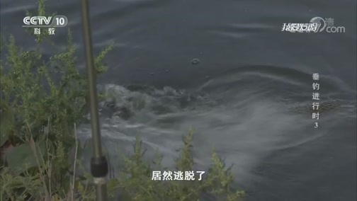 我爱发明 《我爱发明》 20181231 垂钓进行时3