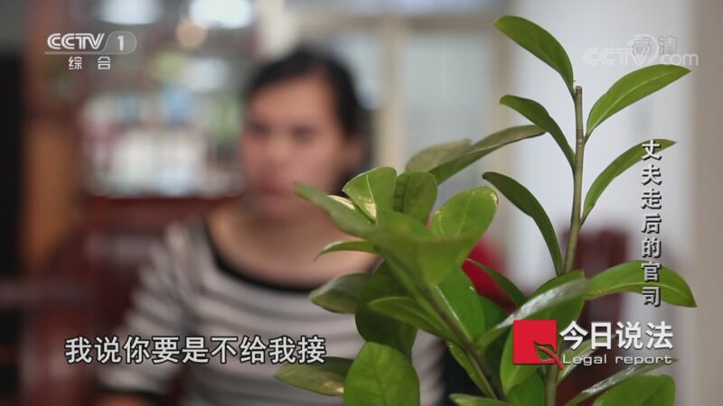今日说法 《今日说法》 20201021 丈夫走后的官司