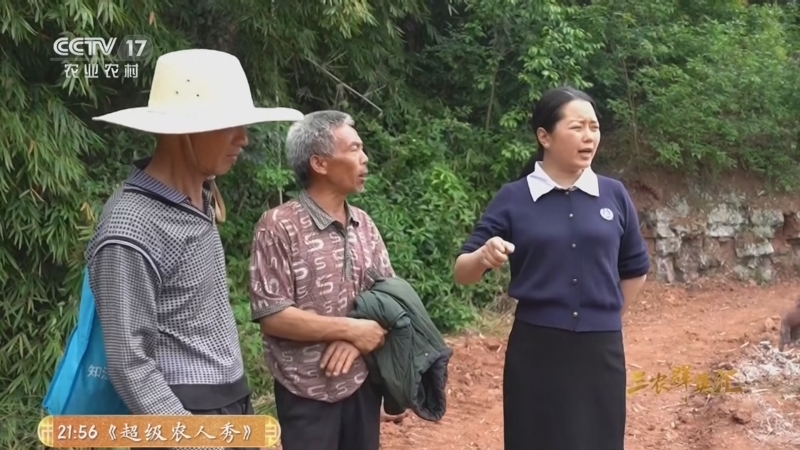 三农群英汇 《三农群英汇》 20260701 大桥村的“解忧书记”