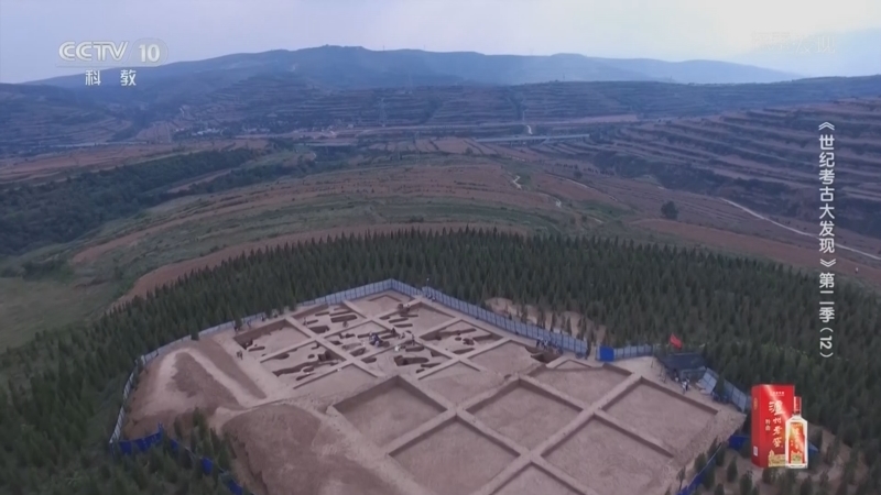 《探索·发现》 20260117 《世纪考古大发现》第二季（12）