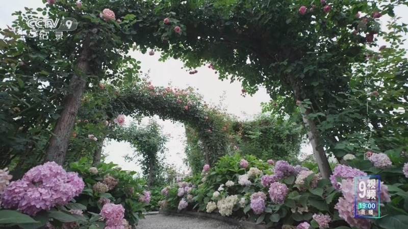 《夏天的故事》 第7集 梦幻花园