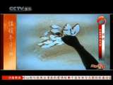 风华国乐 风华国乐 2010年 第356期
