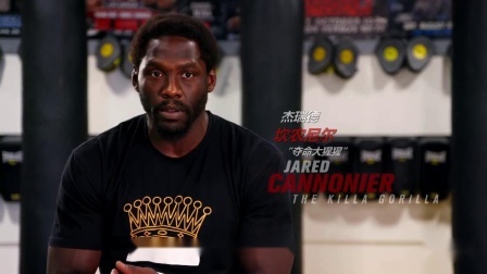 UFC终极格斗冠军赛 UFC237坎农尼 vs席尔瓦
