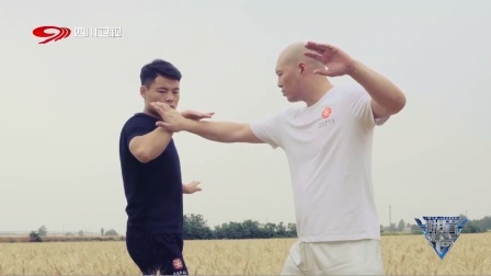 峨眉传奇 2020 谁说太极不能打？这就是现实版的“咏春”打美国佬！