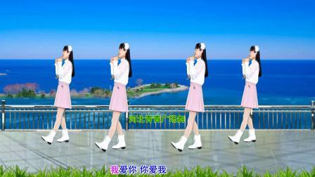 DJ广场舞《爱到流泪谁的罪》动感32步