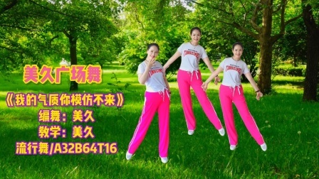 网络热歌《我的气质你模仿不来》舞步欢快动感附教学