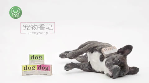一犬一话 宠物香皂，让狗狗爱上洗澡。