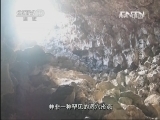 地理中国 《地理中国》 20131019 怪洞迷踪 洞底冰河