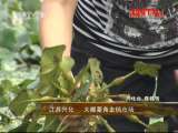 县域经济报道 《县域经济报道》 20110805