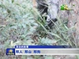 军事报道 《军事报道》 20151107
