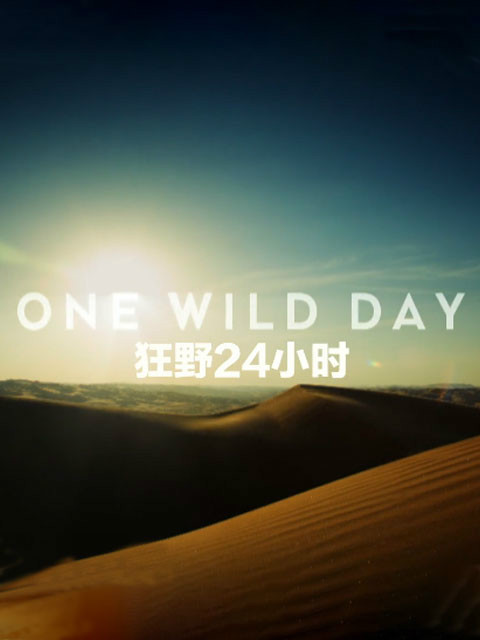 狂野24小时
