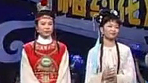 戏曲精选 戏曲精选 再芬黄梅 黄梅戏《红楼梦》