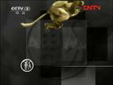 动物世界 《动物世界》 20111027