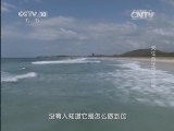 自然传奇 《自然传奇》 20141029 天生杀手之大白鲨