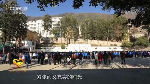热线12 《热线12》 20190216 2019暖春行动 圆你一个梦想