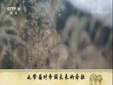 百家讲坛 《百家讲坛》 20180331 《国史通鉴》（隋唐五代篇） 3 大业盛世