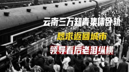 红墙往事 1979年，三万知青卧轨恳求回城，后来结局怎么样