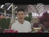消费主张 《消费主张》 20141118 鲜花馅饼酥 野菌火锅鲜