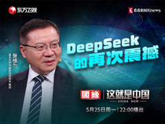 DeepSeek的再次震撼