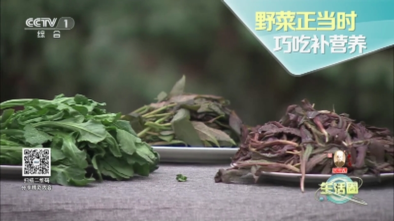 生活圈 《生活圈》 20230223