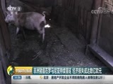 中国财经报道 《中国财经报道》 20180820 16:00