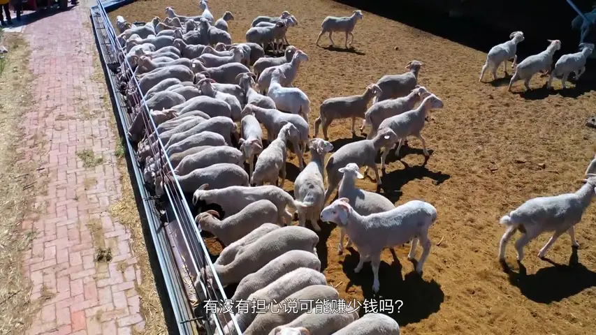 《无穷之路2：无价之保》第6集