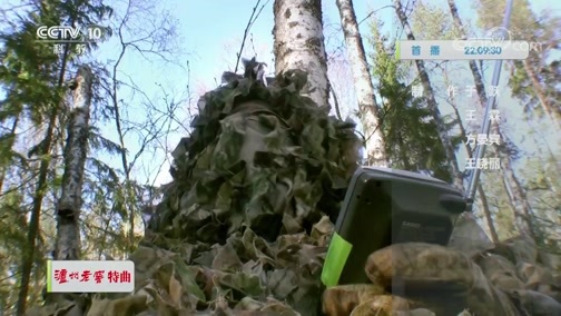 自然传奇 《自然传奇》 20200130 动物游乐场 下