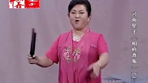河南坠子 河南坠子 相府奇冤 二部