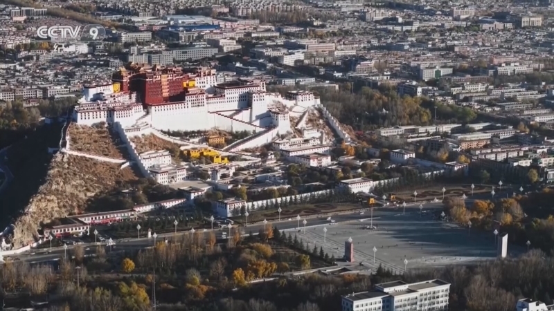 《共同家园》 第6集 血脉