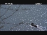 中华民族 《中华民族》 20141125 云岭颂歌 情系泸沽湖
