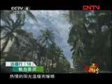 远方的家 《边疆行》第18集 魅力景洪《远方的家》20110803