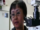 走近科学 《走近科学》 20180319 小菌株大作为（上）