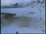 动物世界 动物世界 地球宣言 漫游冰雪天堂